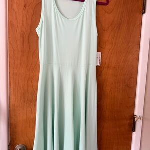 LuLaRoe Mint Green Nicki Dress